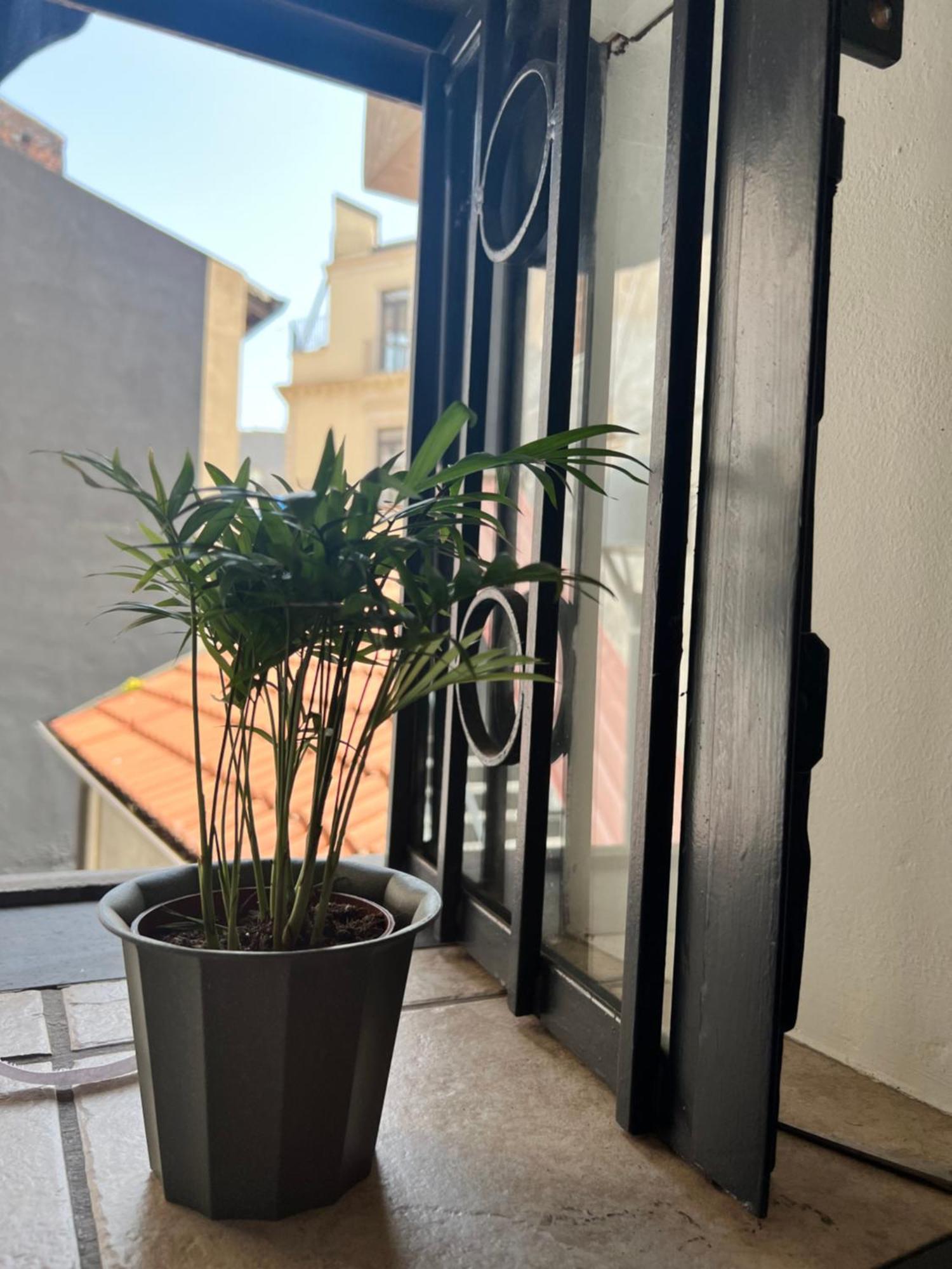 Catania,Sicilia,Italia Barcaioli'S Home Buitenkant foto
